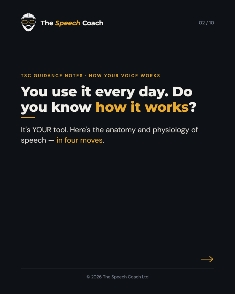 The Speech Coach: Voice & Phonation